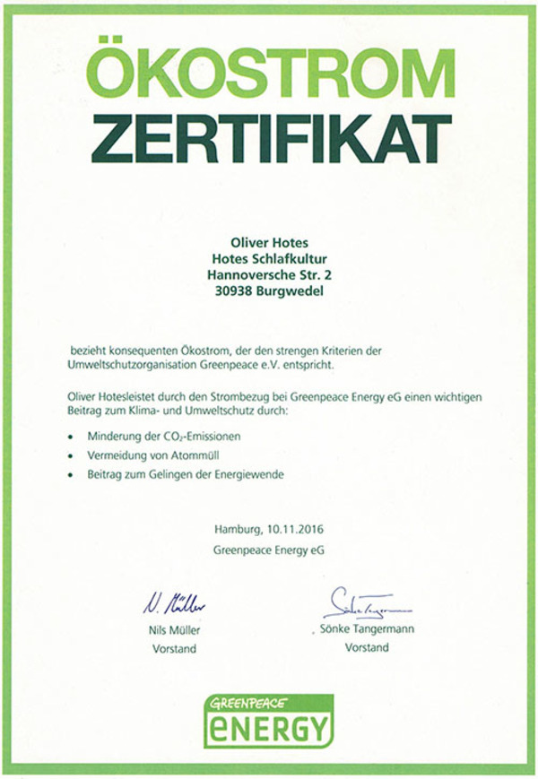 hotes zertifikate - pdfs - 2016-Greenpeace-O¨kostrom-Zertifikat_0003_Hintergrund.jpg