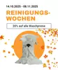 20% auf alle Waschpreise - Reinigungswochen vom 14.10. bis 08.11.2025