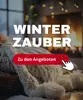 Die neuen Winterzauber Angebote sind da. Jetzt hier entdecken!